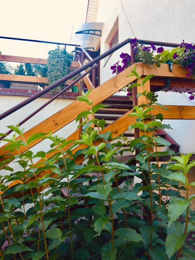 Apartament Delux Z Tarasem Leilighet Sierpc Eksteriør bilde